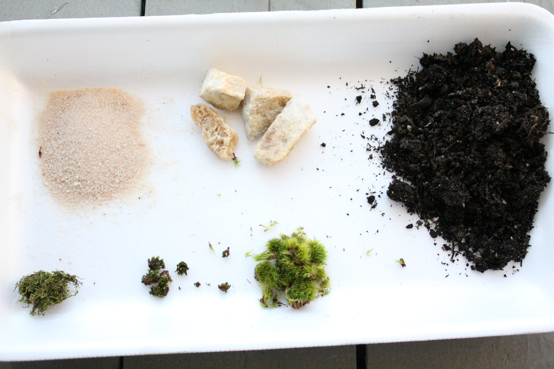 All Things Mini Mini Garden