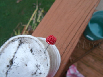 DIY Beauty and the Beast Rose